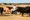 Droughts, complicated by climate change, result in US beef herd hitting historic low