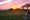 Eat, drink and enjoy Sunset on the Farm on Sept. 22