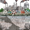 An illustration of a rural community next to a meatpacking plant emitting smoke.