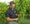 Burned before by ‘pesticide drift,’ vineyard owners enter growing season bracing for the worst