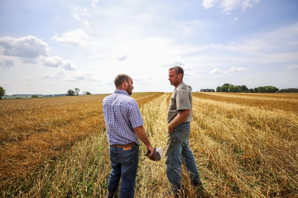 Midwest oat growers want a renaissance, but it will be hard without Big Ag
