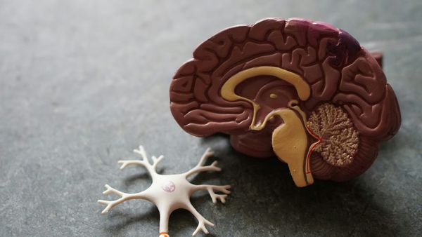 Spoon Theory and PMDD: Why Chronic Illness Language Finally Makes Sense of Your Hormones