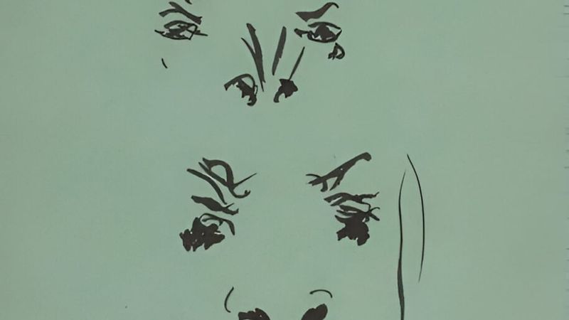 Deux visages & un bœuf