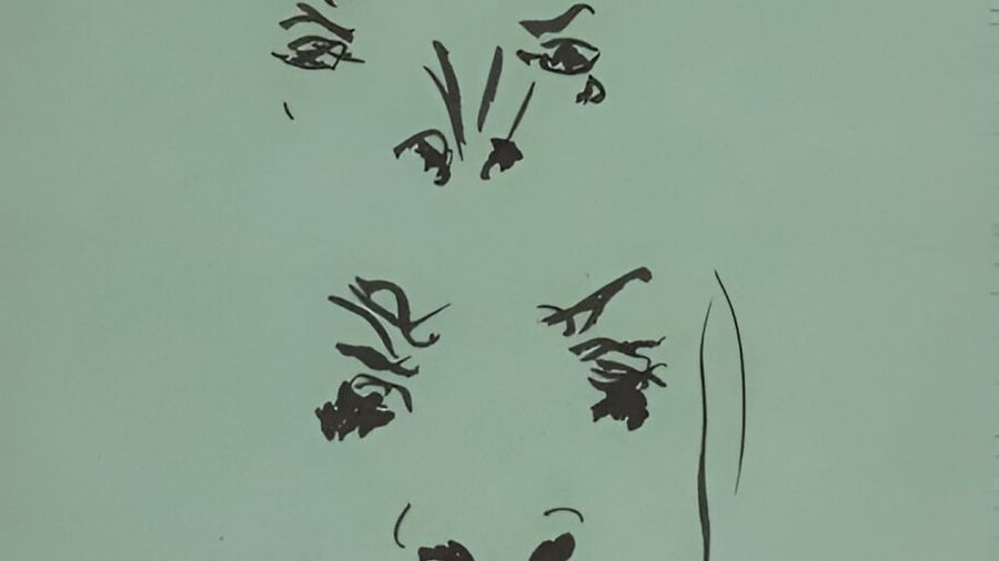Deux visages & un bœuf