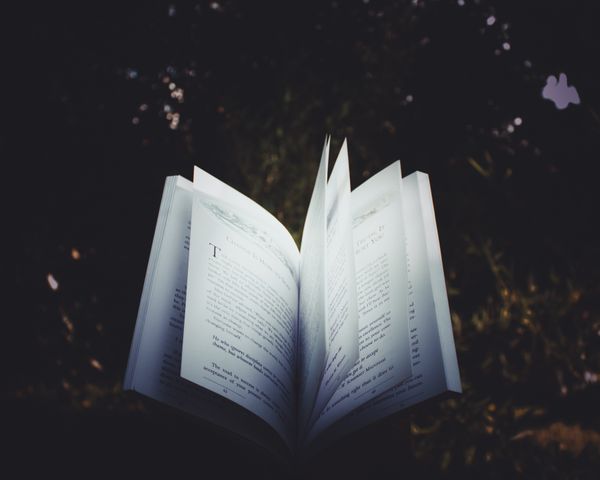 We Are Storytellers