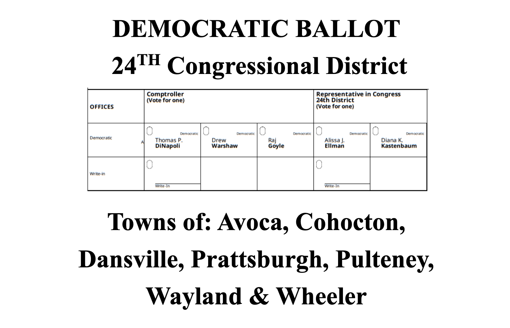 NY-24: Democratic Ballot, 24th Congressional District. Comptroller: DiNapoli, Warshaw, Goyle. Congress 24th: Ellman, Kastenbaum.