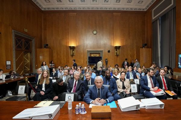 Silence in the Senate: The $1.9B paper trail, Fifth Amendment shields, and institutional decay.