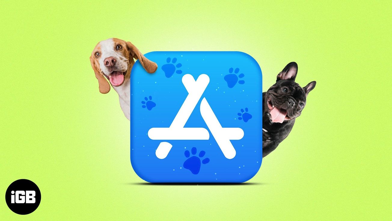 5 apps para darle los mejores cuidados a tu perro