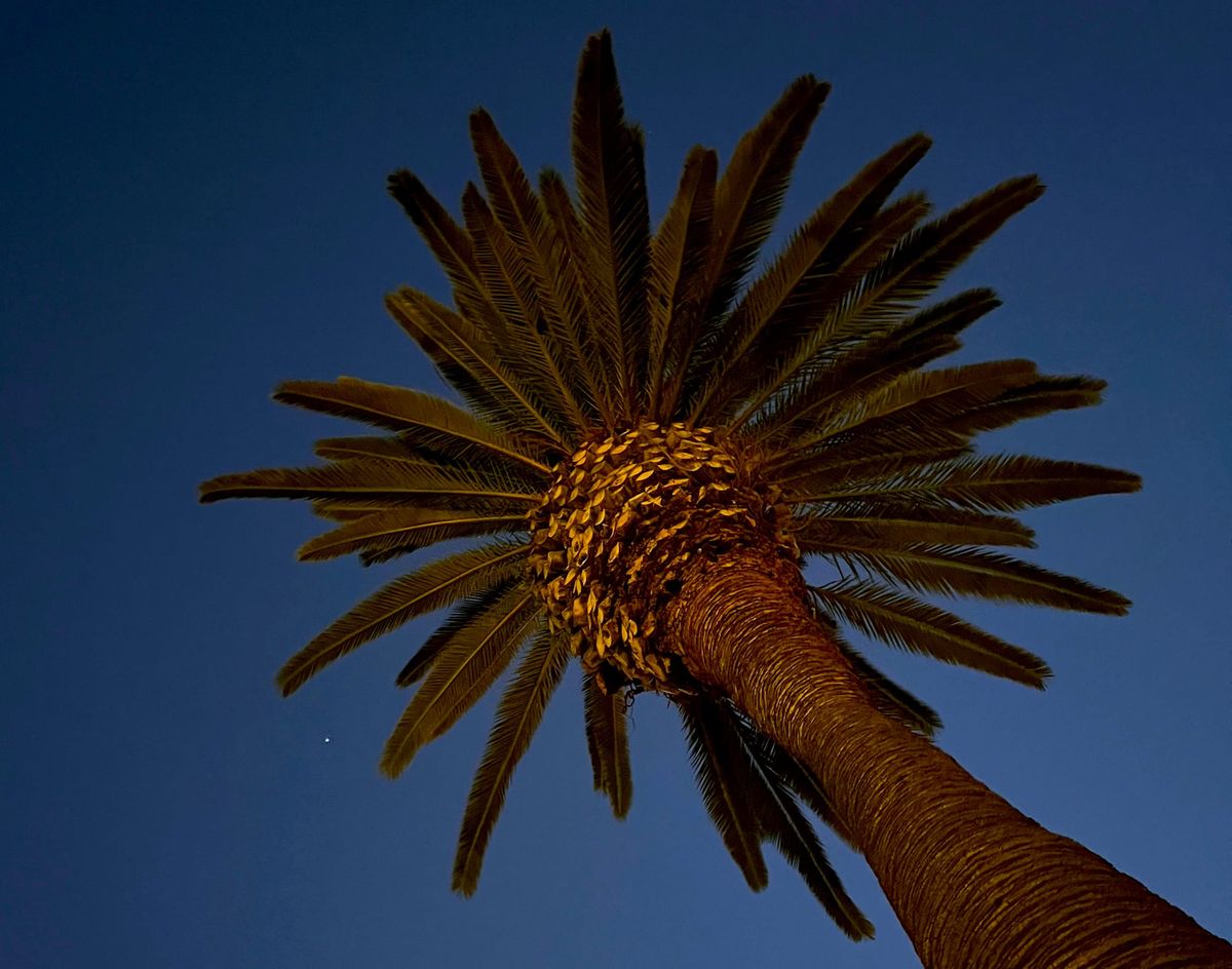 What's in a Week - Vol. 28