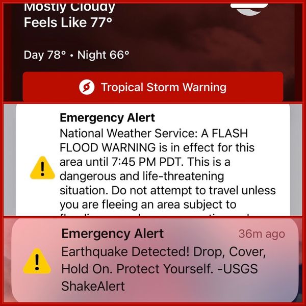 What's in a Week - Vol. 8