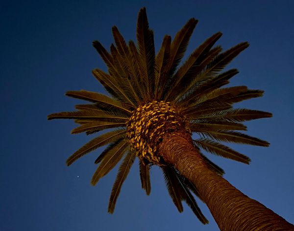 What's in a Week - Vol. 28