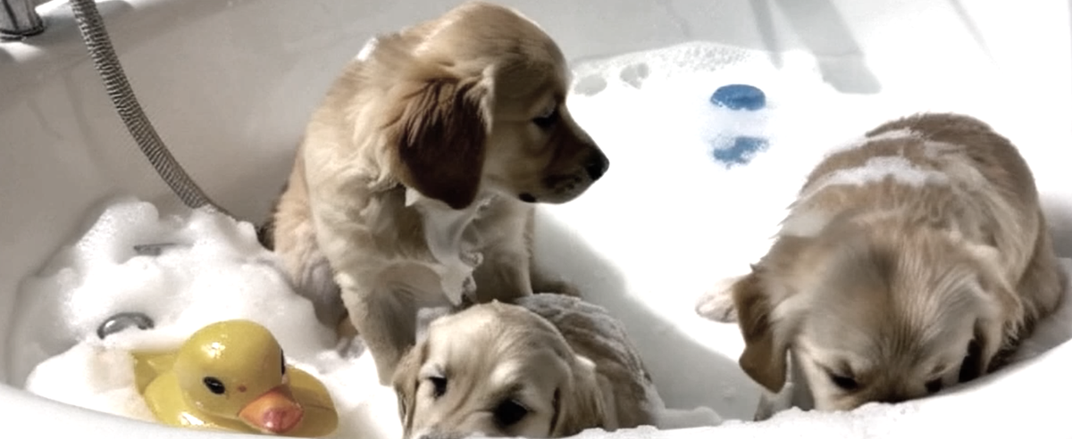 From Information Age to Imagination Age — How Prompt to Video is Reshaping Marketing