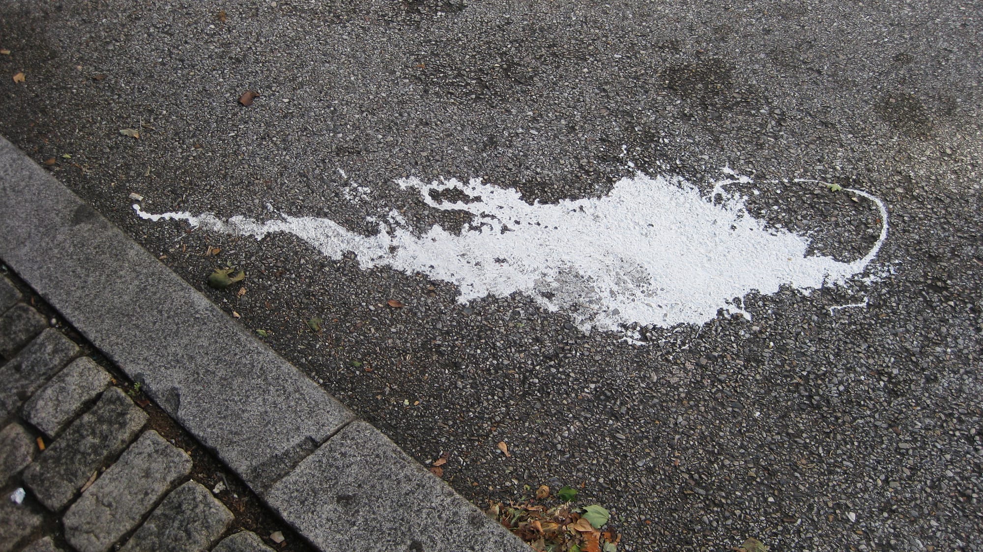 A photograph of a white paint spill on grey asphalt. The street curb is slightly visible in the bottom left corner.