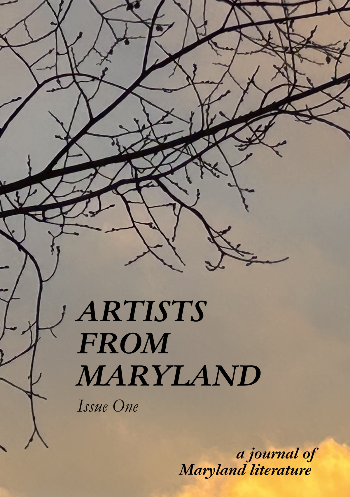 JULY 2024: Artists from Maryland Issue One