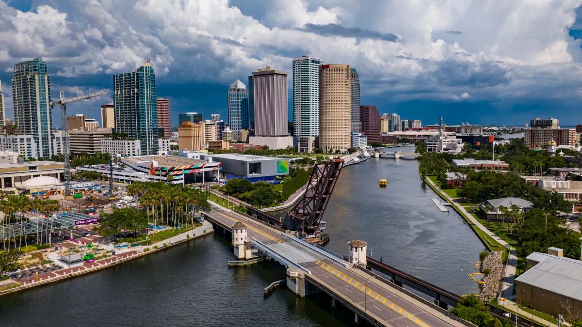 Tummy Tuck Scar Placement in Tampa: What to Expect