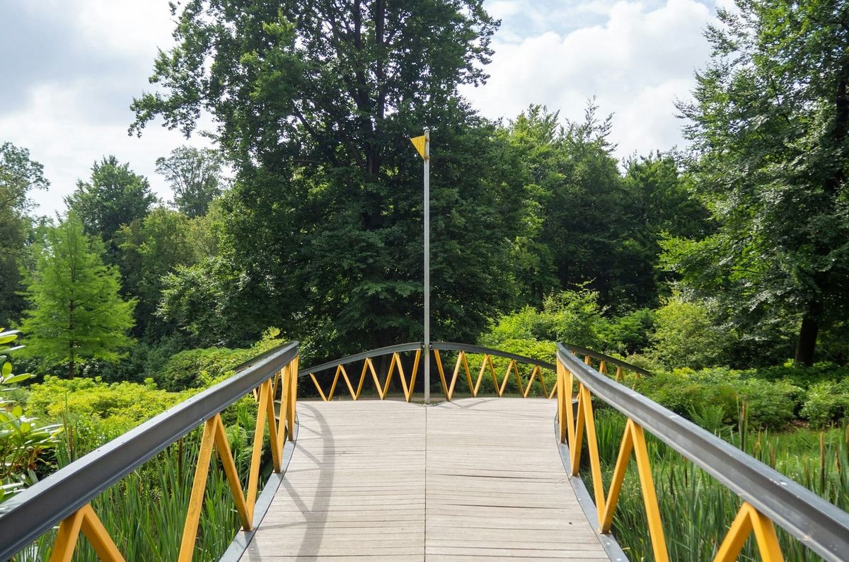 CoolSculpting vs. Liposuction: Which Is Right for You?