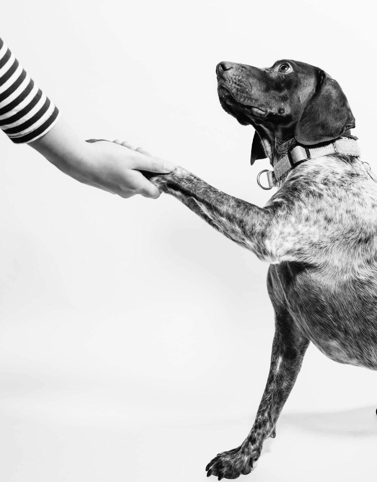 Can I Trust Online Surgery Concierge Platforms? What You Need to Know