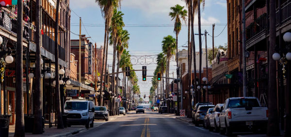 Tampa BBL Recovery Timeline: Week by Week