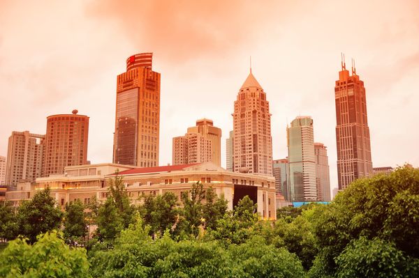 Bra-Line Lipo in Austin: Targeted Fat Removal Guide