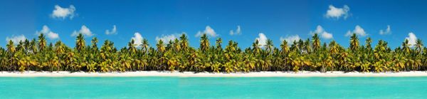 Swimming Close to Shore