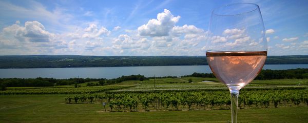 Wine Country and Other Places