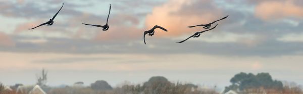 The Culmination of Days