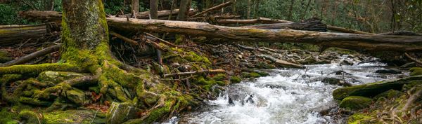 How Was Your Winter?