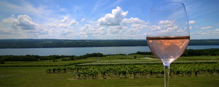 Wine Country and Other Places