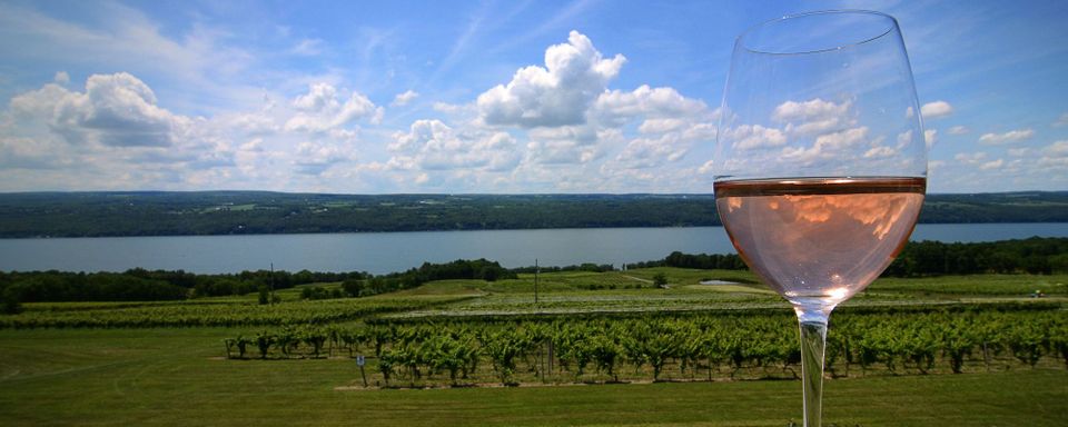 Wine Country and Other Places
