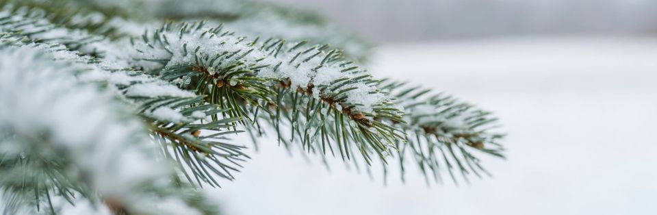 Deep Winter