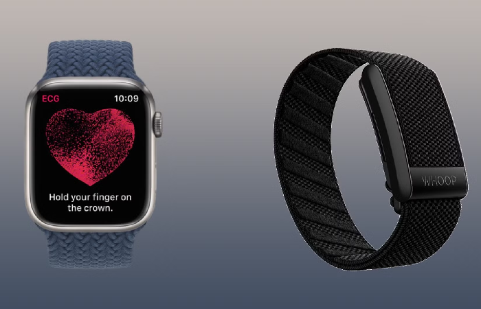 Heart Rate Monitoring.png