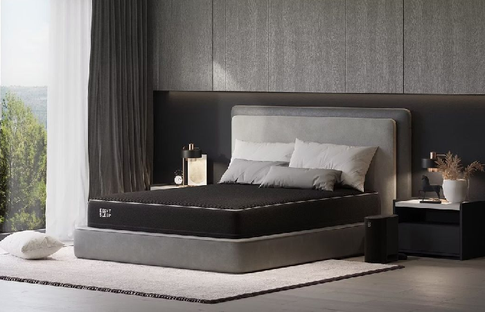 Heart of the Eight Sleep Pod 4.png