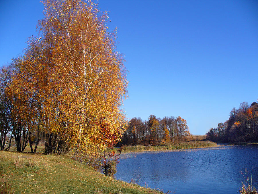 Learn fall nouns in Chinese - An image of summy fall days