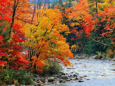 Learn fall nouns in Chinese - An image of a stream in fall