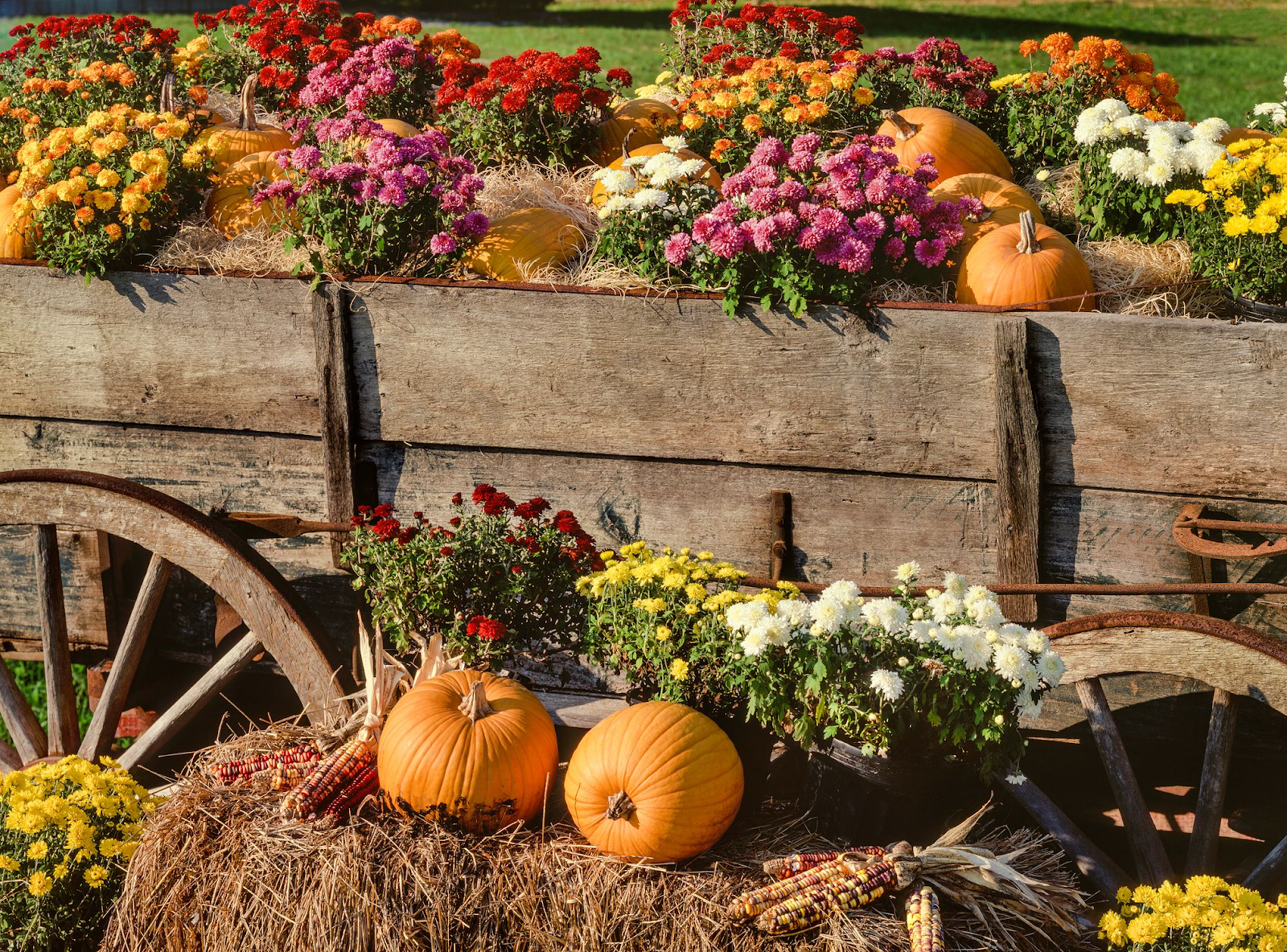 Learn fall nouns in Chinese - An image of beautiful fall
