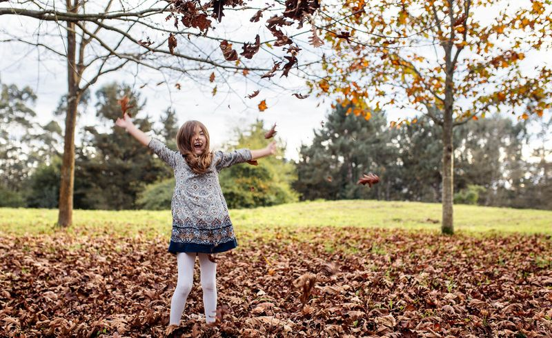Learn fall nouns in Chinese - An image of cool fall