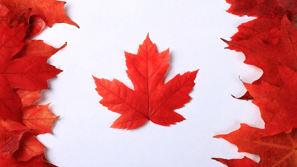 Learn fall nouns in Chinese - an image of red maples