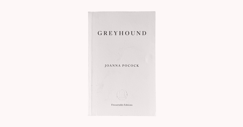 Greyhound