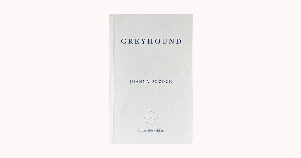 Greyhound