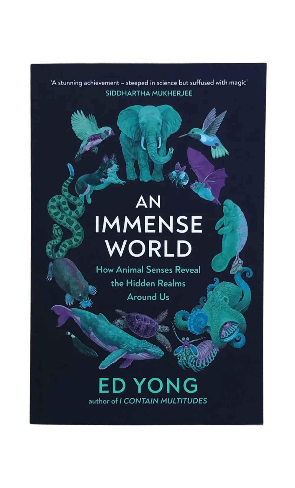 An Immense World