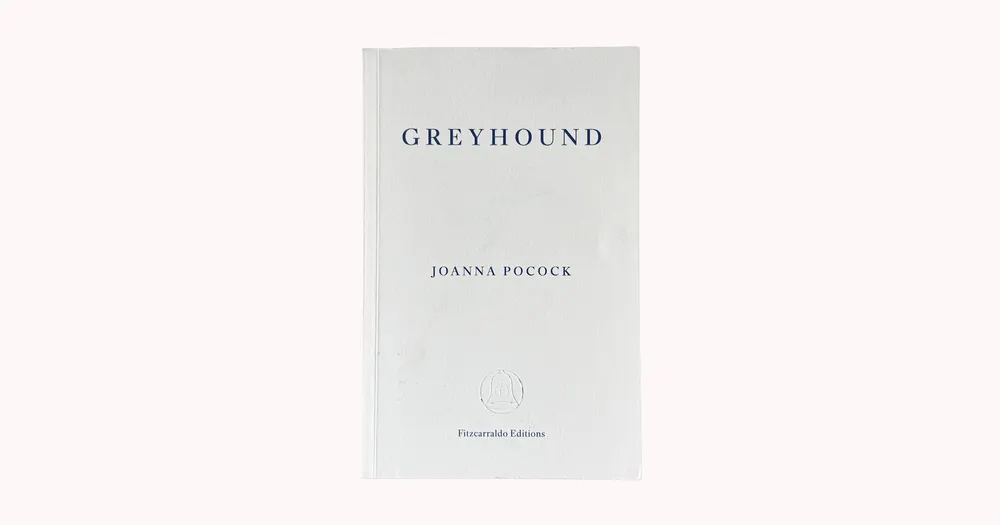Greyhound