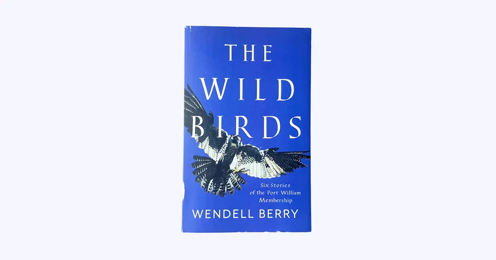 The Wild Birds