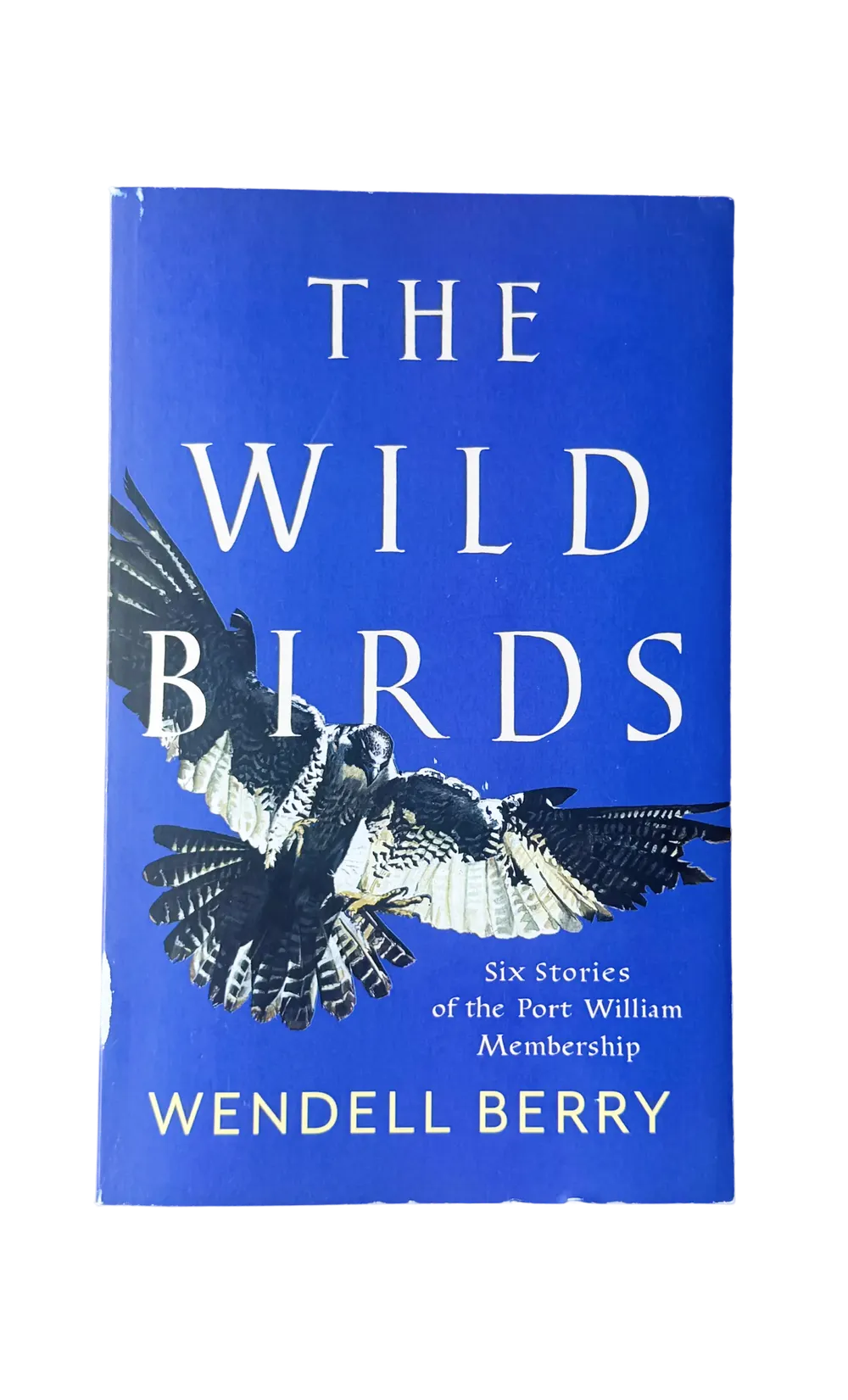 The Wild Birds