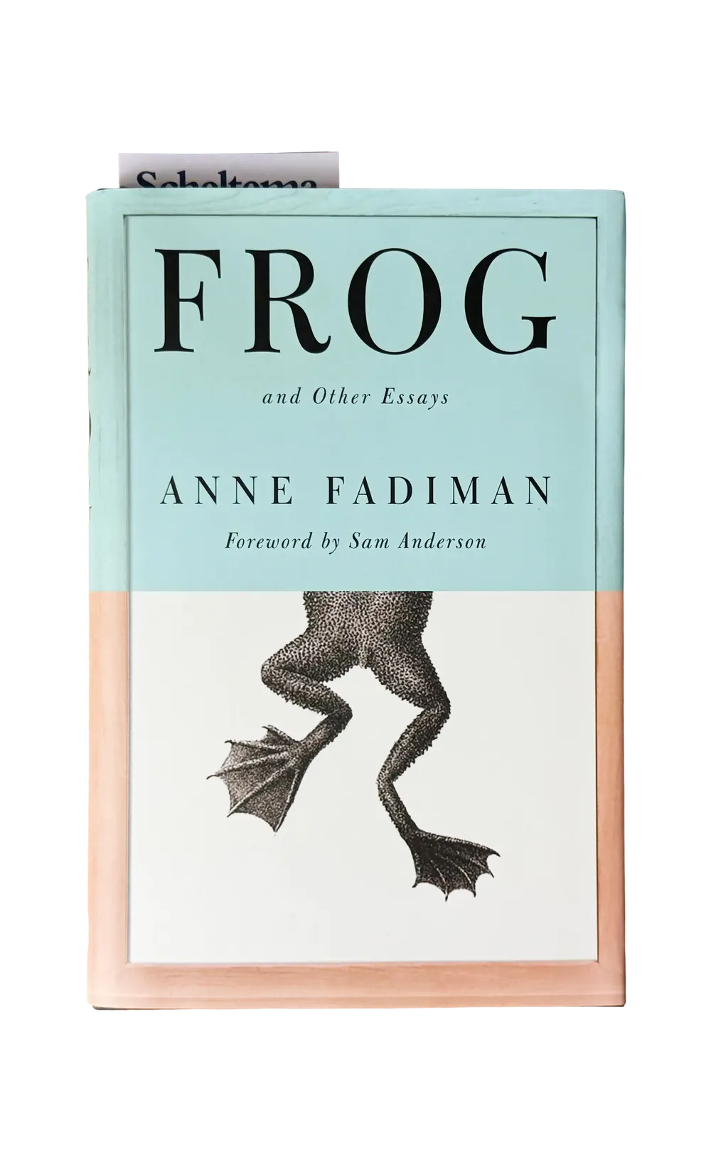 Frog and Other Essays