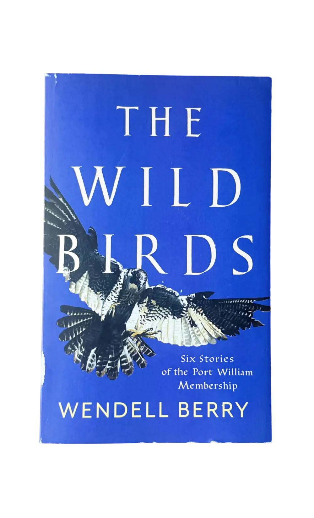 The Wild Birds