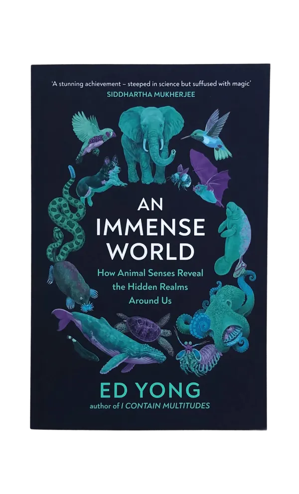 An Immense World