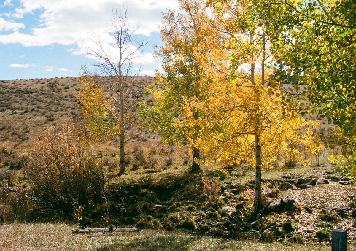 Autumn In Wyoming Mountains (35 MM Film)