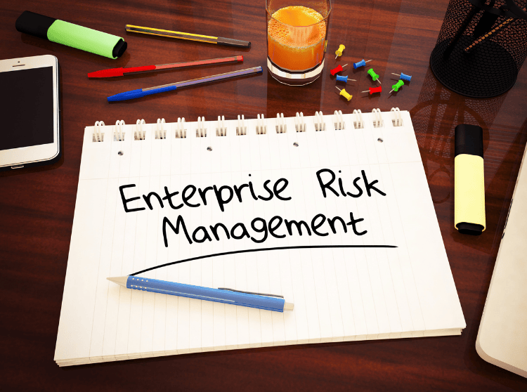 Enterprise Risk Management: Definition, Types & Importance