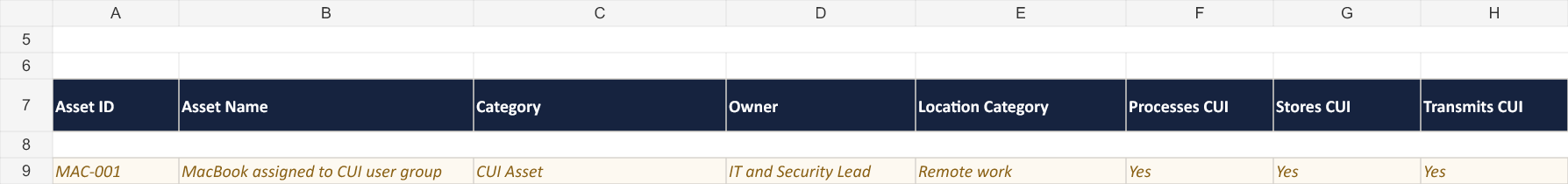 Asset inventory workbook screenshot