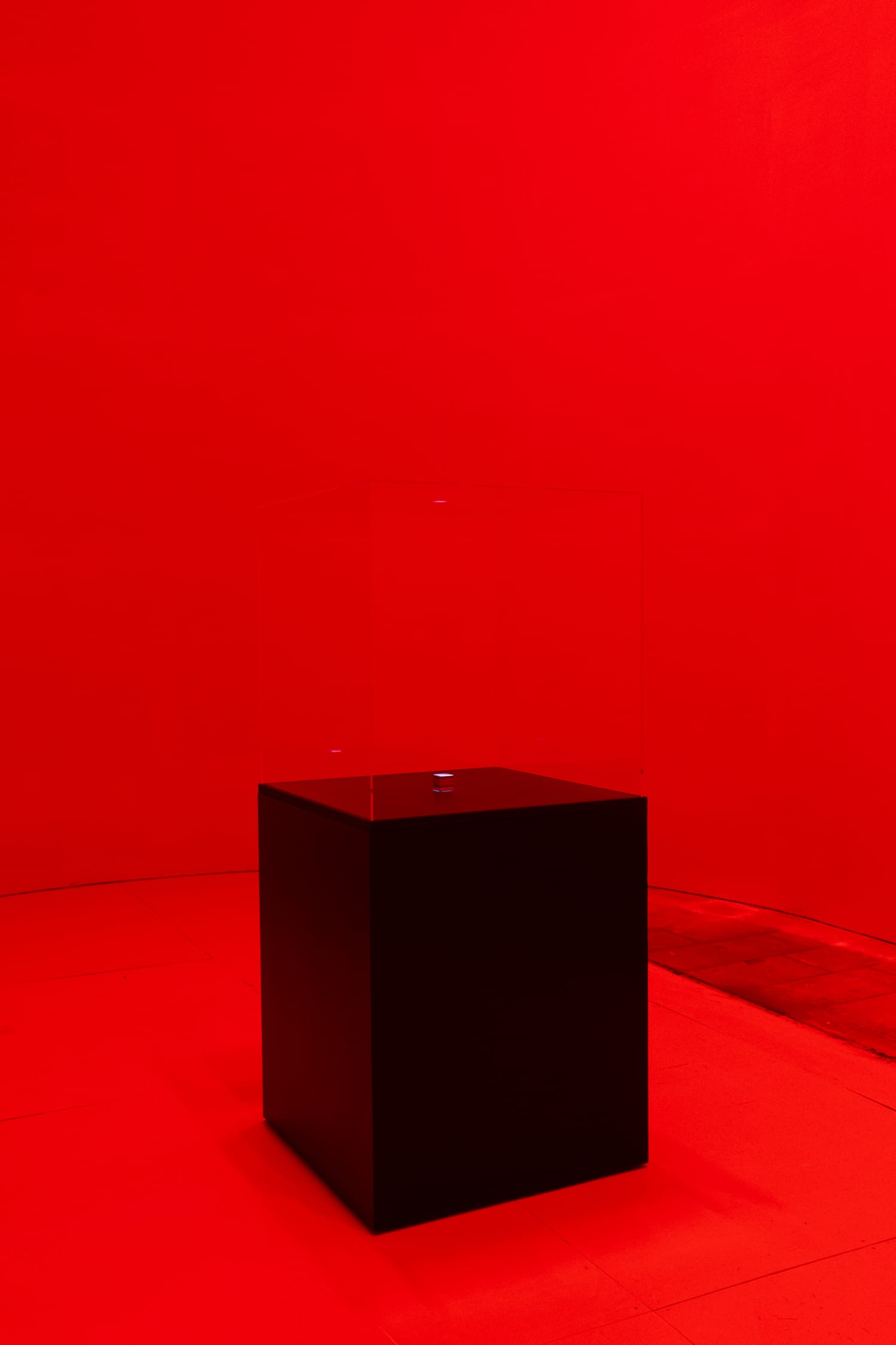 Alfredo Jaar’s The End of the World at the 61st Venice Biennale.